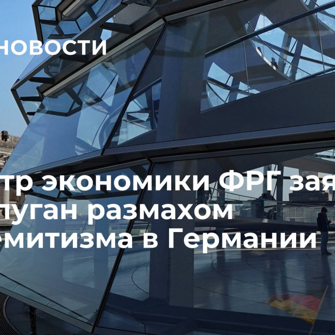 Министр экономики ФРГ заявил, что напуган размахом антисемитизма в Германии