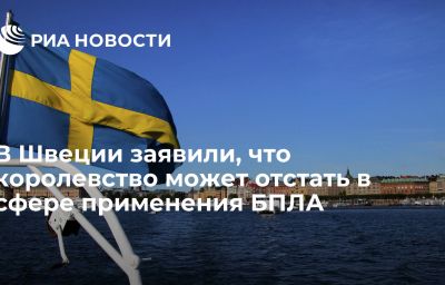 В Швеции заявили, что королевство может отстать в сфере применения БПЛА