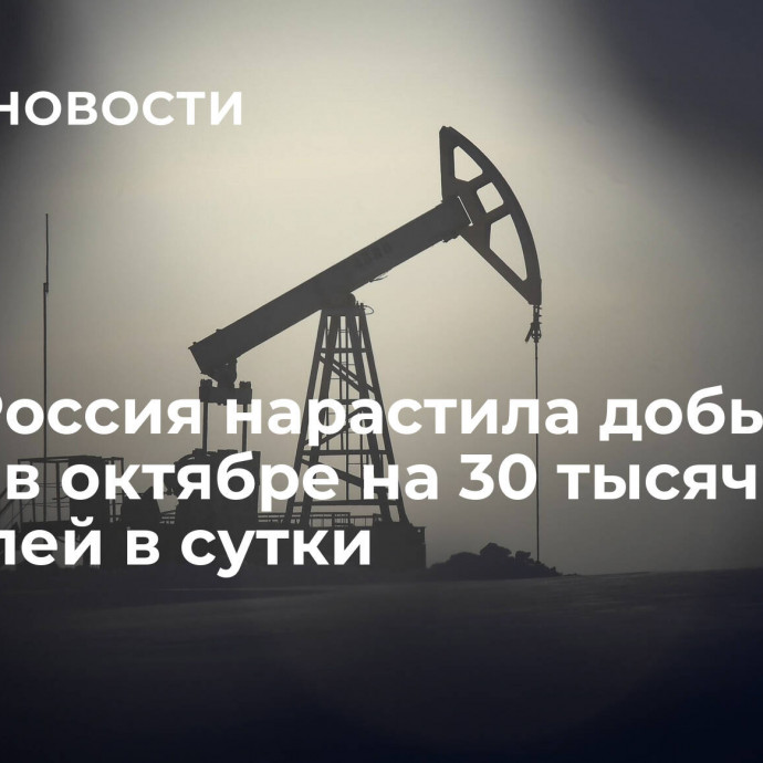 МЭА: Россия нарастила добычу нефти в октябре на 30 тысяч баррелей в сутки