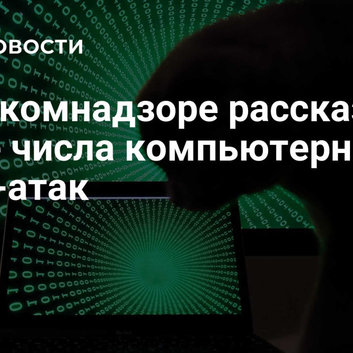 В Роскомнадзоре рассказали о росте числа компьютерных и DDoS-атак