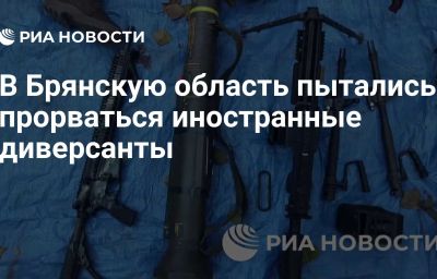 В Брянскую область пытались прорваться иностранные диверсанты