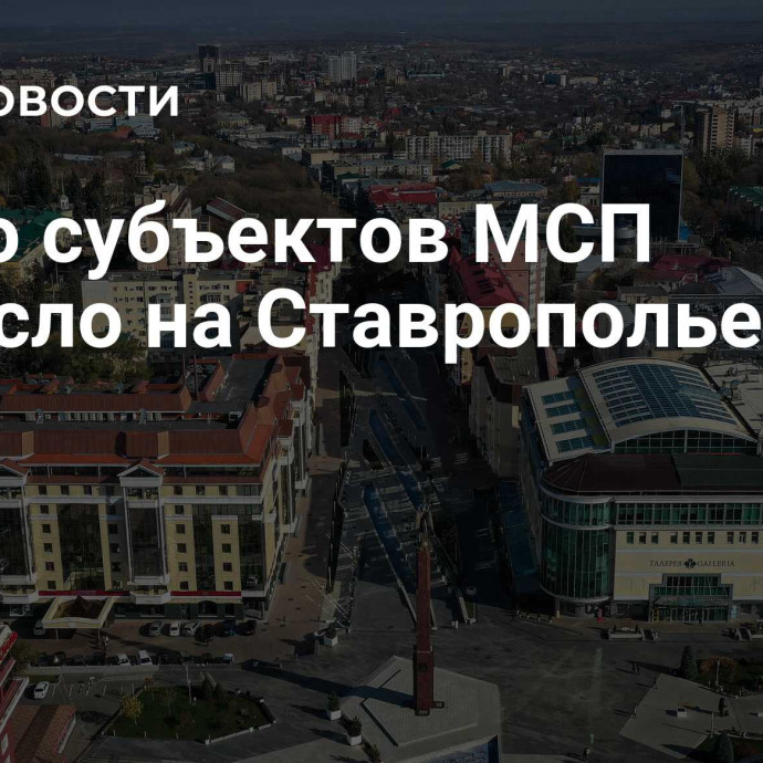 Число субъектов МСП выросло на Ставрополье на 13%