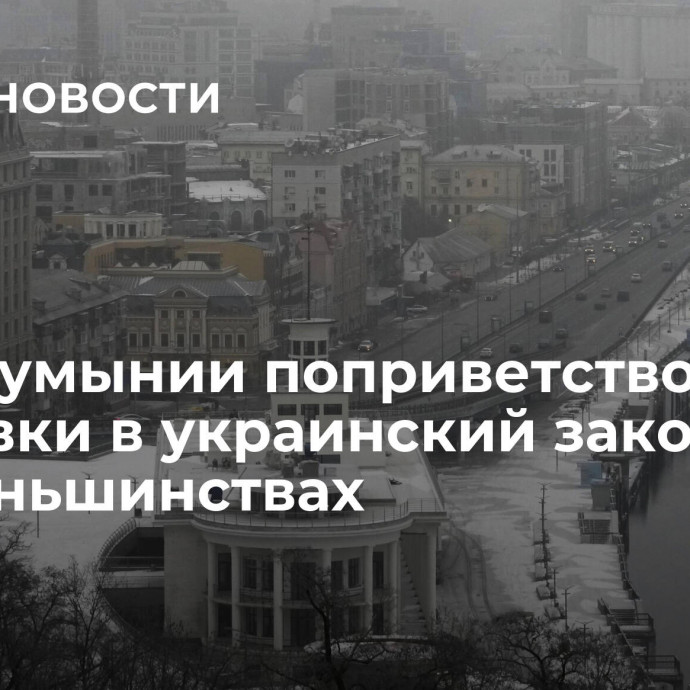 МИД Румынии поприветствовал поправки в украинский закон о нацменьшинствах