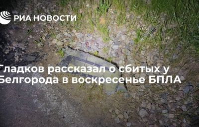 Гладков рассказал о сбитых у Белгорода в воскресенье БПЛА