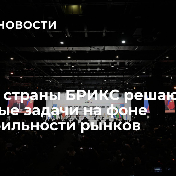 Путин: страны БРИКС решают сложные задачи на фоне нестабильности рынков