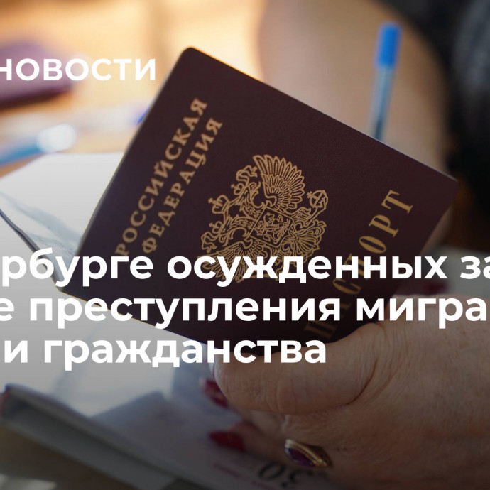 В Петербурге осужденных за тяжкие преступления мигрантов лишили гражданства