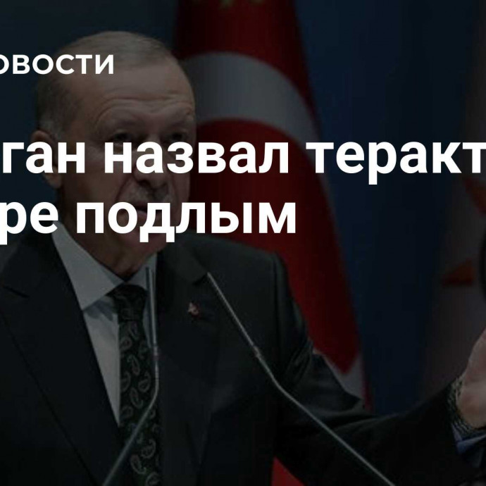 Эрдоган назвал теракт в Анкаре подлым