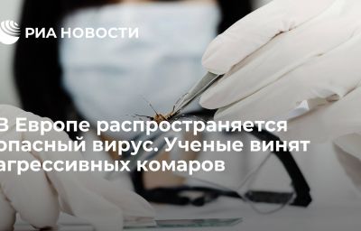 В Европе распространяется опасный вирус. Ученые винят агрессивных комаров