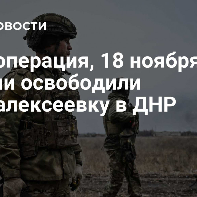 Спецоперация, 18 ноября: ВС России освободили Новоалексеевку в ДНР