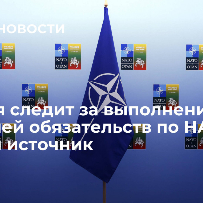 Турция следит за выполнением Швецией обязательств по НАТО, заявил источник