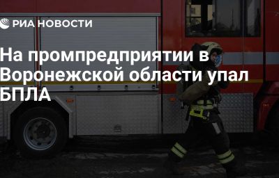 На промпредприятии в Воронежской области упал БПЛА