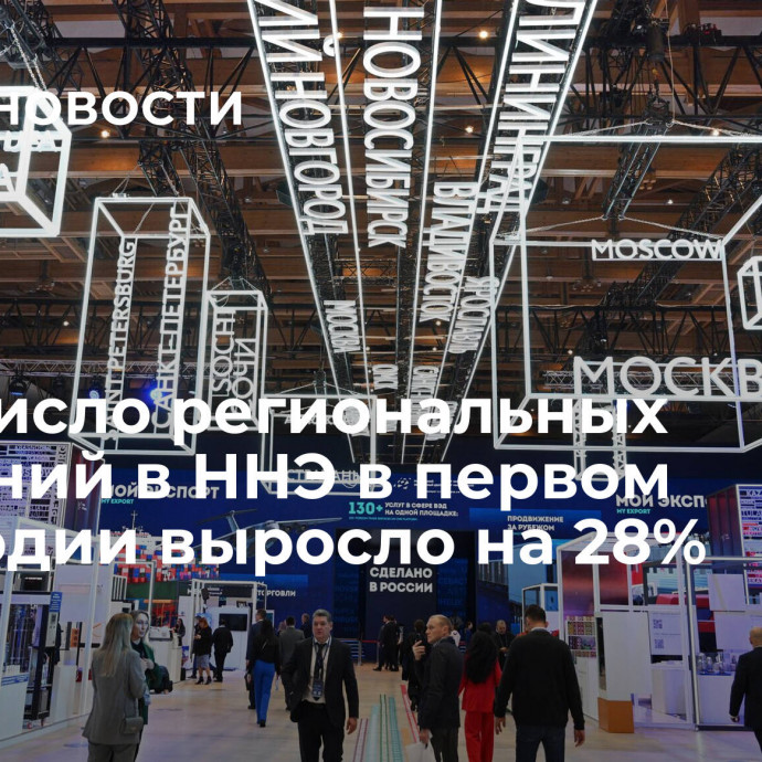 РЭЦ: число региональных компаний в ННЭ в первом полугодии выросло на 28%