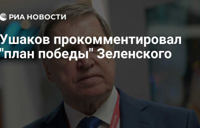 Ушаков прокомментировал "план победы" Зеленского