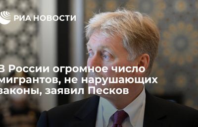 В России огромное число мигрантов, не нарушающих законы, заявил Песков