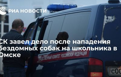 СК завел дело после нападения бездомных собак на школьника в Омске