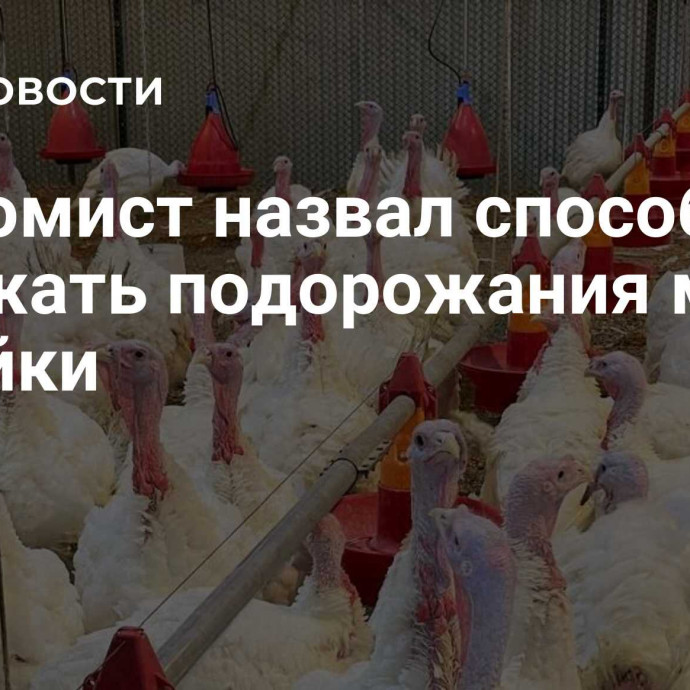 Экономист назвал способ избежать подорожания мяса индейки