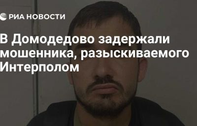 В Домодедово задержали мошенника, разыскиваемого Интерполом