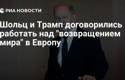 Шольц и Трамп договорились работать над "возвращением мира" в Европу