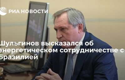 Шульгинов высказался об энергетическом сотрудничестве с Бразилией