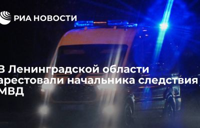 В Ленинградской области арестовали начальника следствия МВД