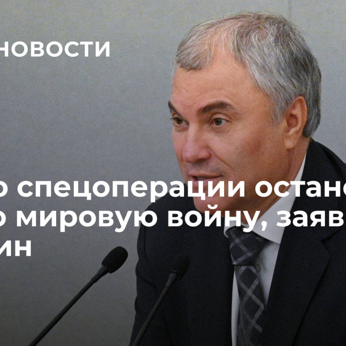 Начало спецоперации остановило третью мировую войну, заявил Володин