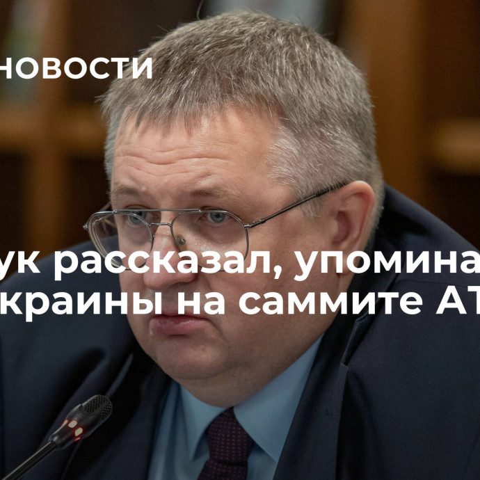 Оверчук рассказал, упоминали ли тему Украины на саммите АТЭС