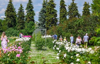 От космоса до Переделкина: 5 новых семейных маршрутов по Москве