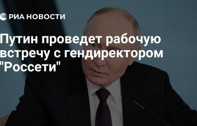 Путин проведет рабочую встречу с гендиректором "Россети"