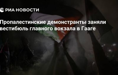 Пропалестинские демонстранты заняли вестибюль главного вокзала в Гааге