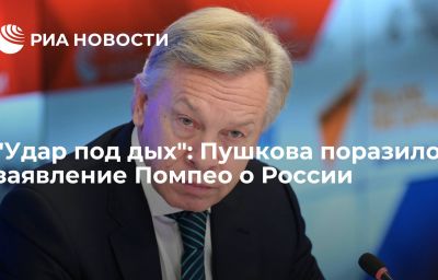 "Удар под дых": Пушкова поразило заявление Помпео о России