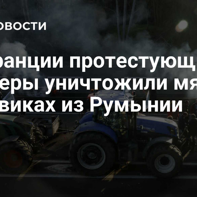 Во Франции протестующие фермеры уничтожили мясо в грузовиках из Румынии