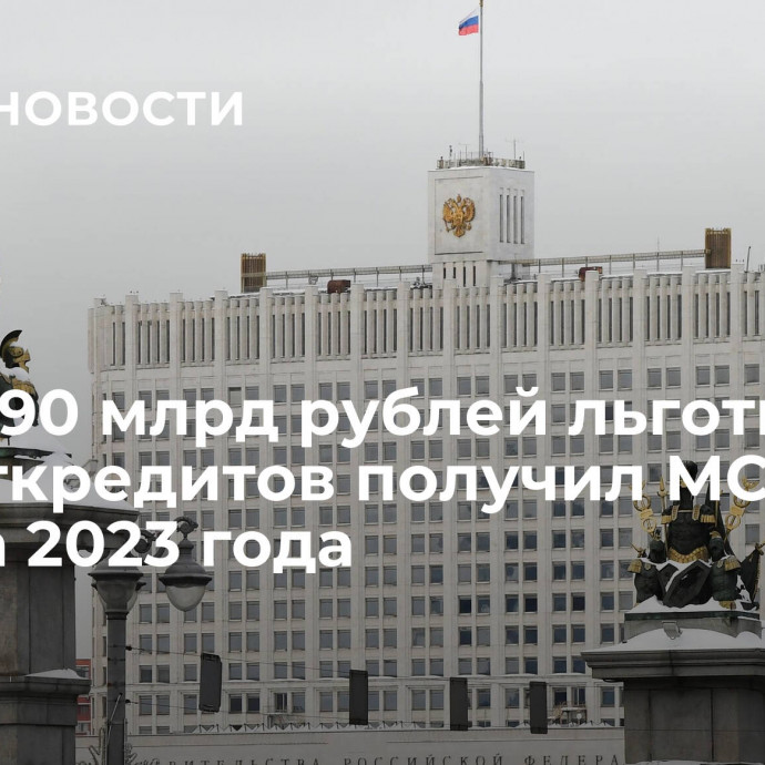 Более 90 млрд рублей льготных инвесткредитов получил МСБ с начала 2023 года