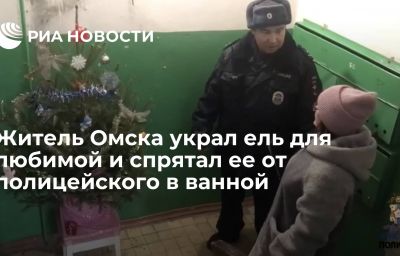 Житель Омска украл ель для любимой и спрятал ее от полицейского в ванной