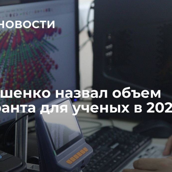 Чернышенко назвал объем мегагранта для ученых в 2024 году