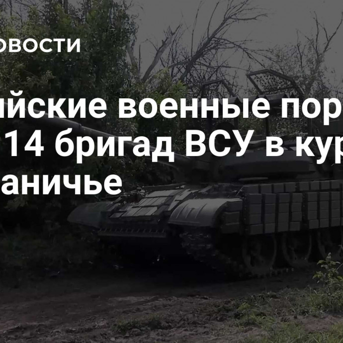 Российские военные поразили силы 14 бригад ВСУ в курском приграничье