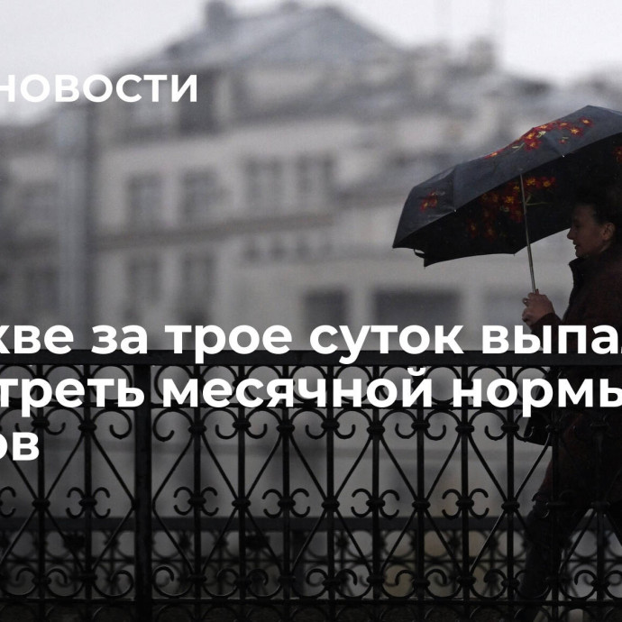 В Москве за трое суток выпала почти треть месячной нормы осадков