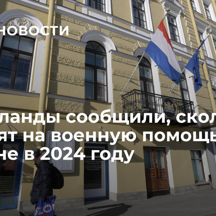 Нидерланды сообщили, сколько выделят на военную помощь Украине в 2024 году