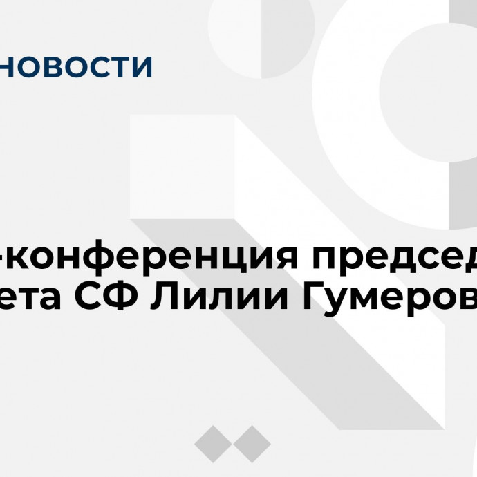 Пресс-конференция председателя Комитета СФ Лилии Гумеровой