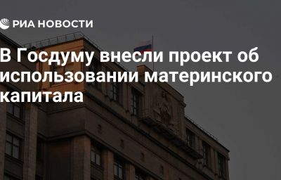 В Госдуму внесли проект об использовании материнского капитала