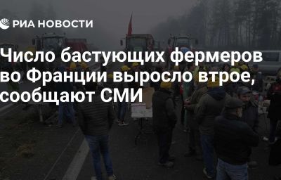 Число бастующих фермеров во Франции выросло втрое, сообщают СМИ