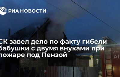 СК завел дело по факту гибели бабушки с двумя внуками при пожаре под Пензой