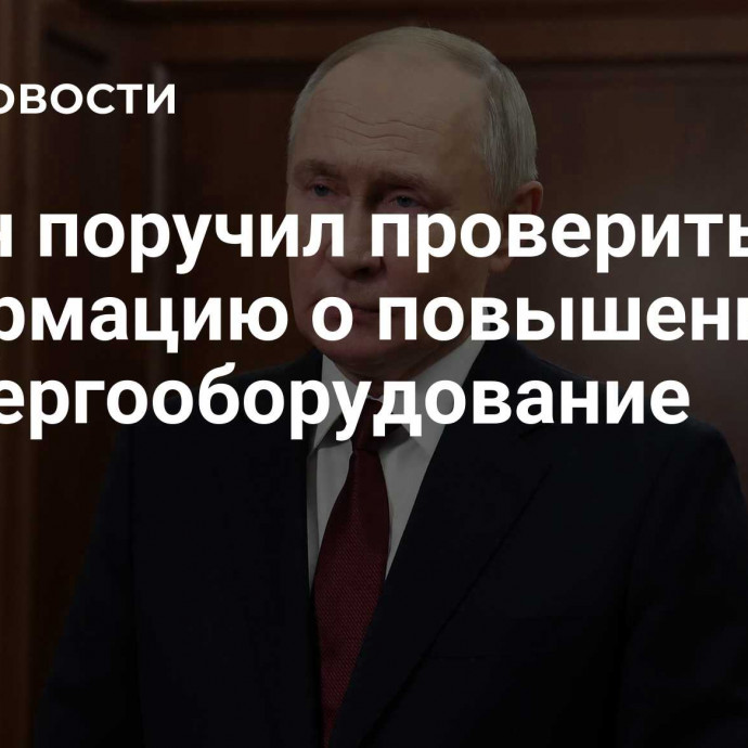 Путин поручил проверить информацию о повышении цен на энергооборудование