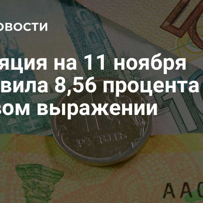 Инфляция на 11 ноября составила 8,56 процента в годовом выражении