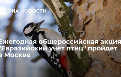 Ежегодная общероссийская акция "Евразийский учет птиц" пройдет в Москве