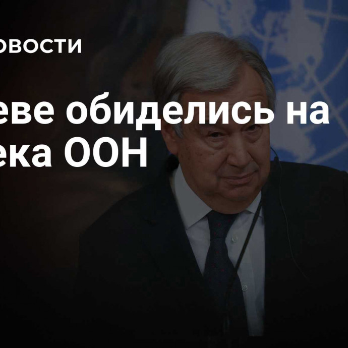 В Киеве обиделись на генсека ООН