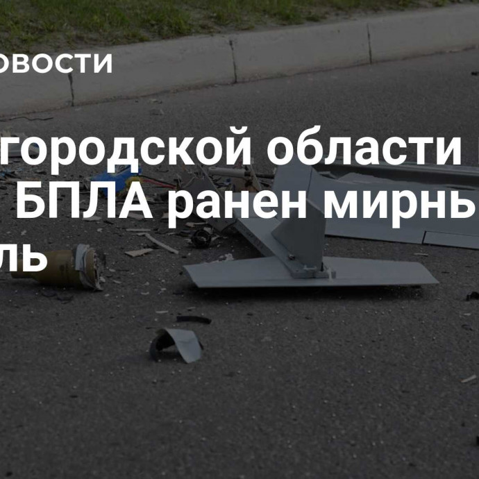 В Белгородской области при атаке БПЛА ранен мирный житель