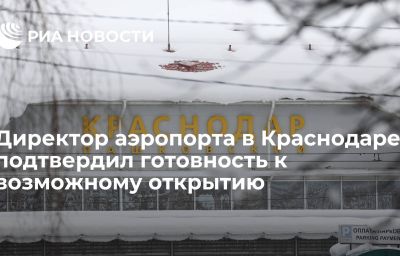 Директор аэропорта в Краснодаре подтвердил готовность к возможному открытию