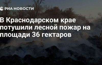 В Краснодарском крае потушили лесной пожар на площади 36 гектаров