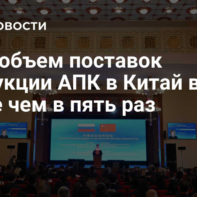 РЭЦ: объем поставок продукции АПК в Китай вырос более чем в пять раз