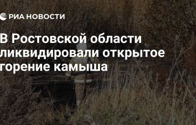 В Ростовской области ликвидировали открытое горение камыша